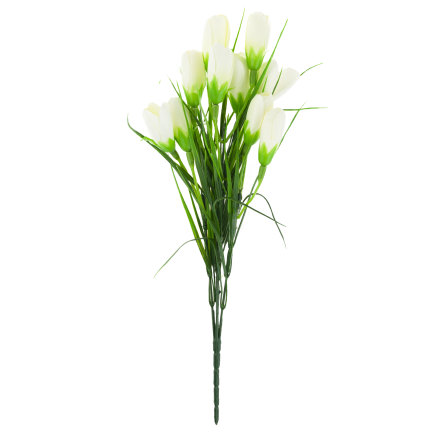 CV27023-1 KROKUSY BIALE