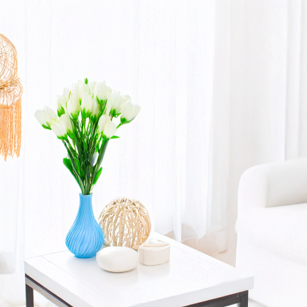 CV27023-1 KROKUSY BIALE