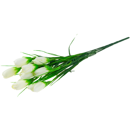 CV27023-1 KROKUSY BIALE