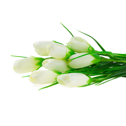 CV27023-1 KROKUSY BIALE