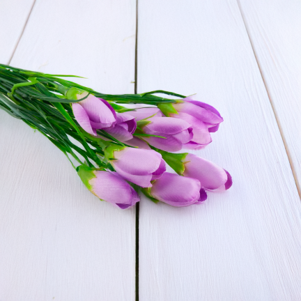 CV27023-6 KROKUSY ROZOWE X10