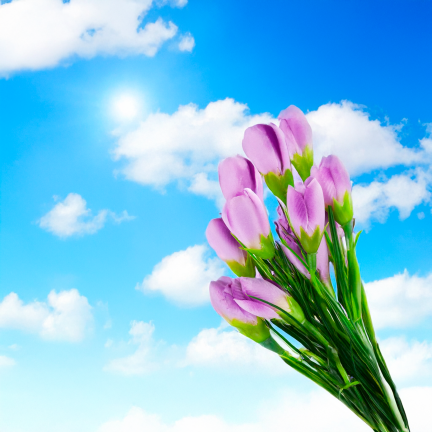 CV27023-6 KROKUSY ROZOWE X10