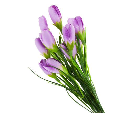 CV27023-6 KROKUSY ROZOWE X10