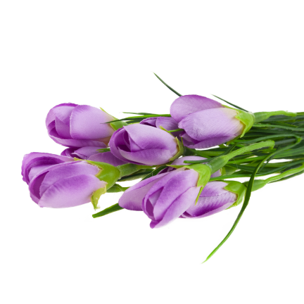 CV27023-6 KROKUSY ROZOWE X10