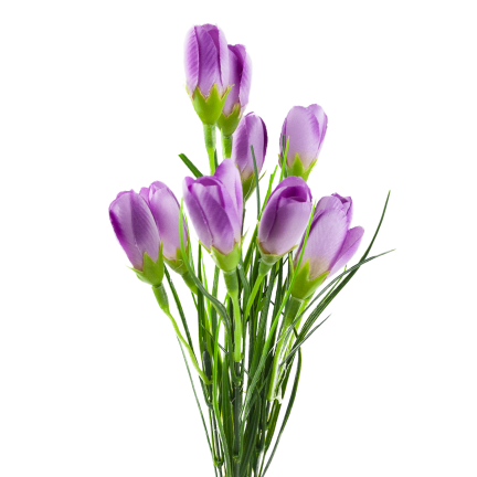 CV27023-6 KROKUSY ROZOWE X10