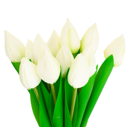 CV27025-1 TULIPANY BUKIET TULIPANÓW PIĘKNY JAK ŻYWY TULIPAN KWIATY BIAŁE 12 KWIATÓW