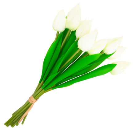 CV27025-1 TULIPANY BUKIET TULIPANÓW PIĘKNY JAK ŻYWY TULIPAN KWIATY BIAŁE 12 KWIATÓW