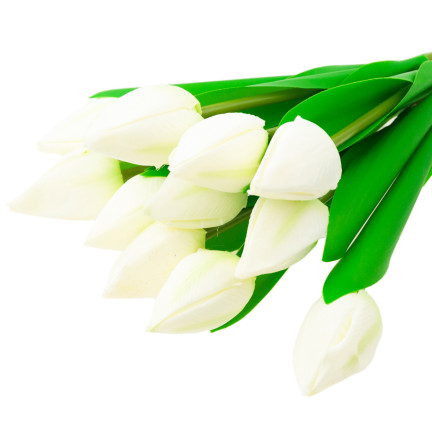 CV27025-1 TULIPANY BUKIET TULIPANÓW PIĘKNY JAK ŻYWY TULIPAN KWIATY BIAŁE 12 KWIATÓW