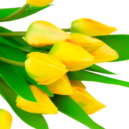 CV27025-3 TULIPAN DUŻY BUKIET TULIPANÓW X12 ŻÓŁTY SZTUCZNE KWIATY TULIPANY W BUKIECIE