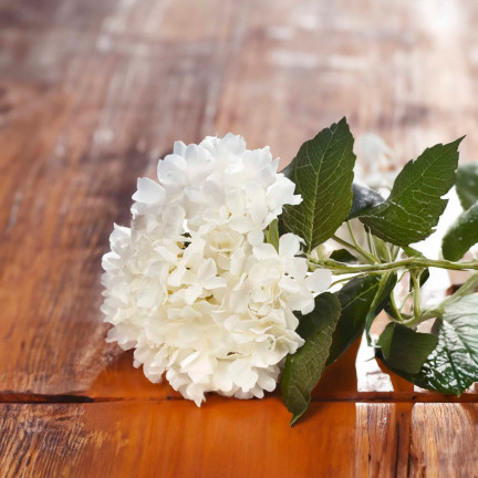 CV28571-1 HORTENSJA GĘSTY PIĘKNY BUKIET HORTENSJI SZTUCZNE KWIATY JAK ŻYWE BIAŁE X5