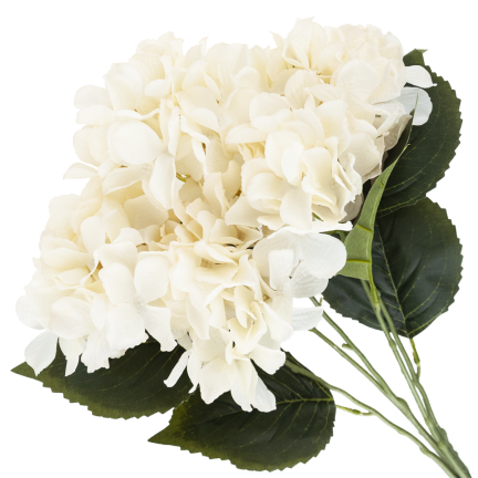 CV28571-2 HORTENSJA GĘSTY BUKIET 5 KWIATÓW HORTENSJI 50CM DO WAZONU STROIKA