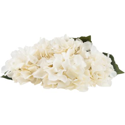 CV28571-2 HORTENSJA GĘSTY BUKIET 5 KWIATÓW HORTENSJI 50CM DO WAZONU STROIKA