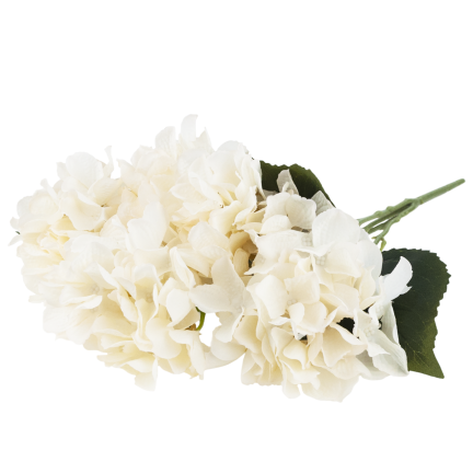 CV28571-2 HORTENSJA GĘSTY BUKIET 5 KWIATÓW HORTENSJI 50CM DO WAZONU STROIKA