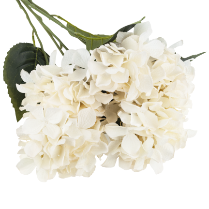 CV28571-2 HORTENSJA GĘSTY BUKIET 5 KWIATÓW HORTENSJI 50CM DO WAZONU STROIKA