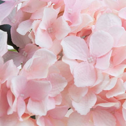 CV28571-3 HORTENSJA GĘSTY PIĘKNY BUKIET HORTENSJI SZTUCZNE KWIATY JAK ŻYWE RÓŻOWY X5