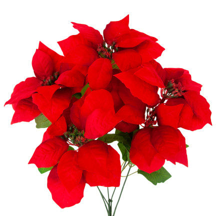 CV28909 GWIAZDA BETLEMEJSKA BUKIET KWIATÓW ŚWIĄTECZNY DUŻE KWIATY POINSECJA 5szt