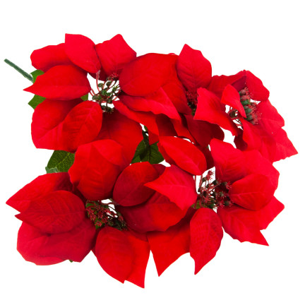 CV28909 GWIAZDA BETLEMEJSKA BUKIET KWIATÓW ŚWIĄTECZNY DUŻE KWIATY POINSECJA 5szt