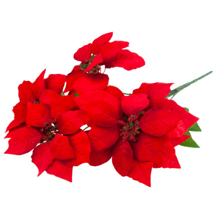 CV28909 GWIAZDA BETLEMEJSKA BUKIET KWIATÓW ŚWIĄTECZNY DUŻE KWIATY POINSECJA 5szt