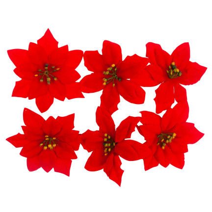 CV28918 GWIAZDA BETLEJEMSKA KWIATY ŚWIĄTECZNE DUŻE KWIATY POINSECJA 6SZT./KPL