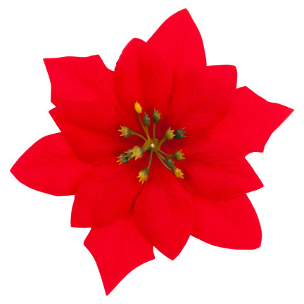 CV28918 GWIAZDA BETLEJEMSKA KWIATY ŚWIĄTECZNE DUŻE KWIATY POINSECJA 6SZT./KPL