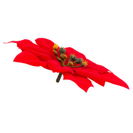 CV28918 GWIAZDA BETLEJEMSKA KWIATY ŚWIĄTECZNE DUŻE KWIATY POINSECJA 6SZT./KPL