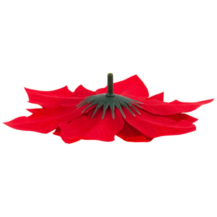 CV28918 GWIAZDA BETLEJEMSKA KWIATY ŚWIĄTECZNE DUŻE KWIATY POINSECJA 6SZT./KPL