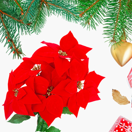 CV28920 GWIAZDA BETLEJEMSKA BUKIET KWIATÓW POINSECJA DUŻY SZTUCZNE KWIATY 5szt