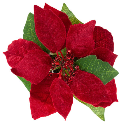 CV28962 GWIAZDA BETLEJEMSKA SZTUCZNA WELUROWA W DONICZCE POINSECJA REALISTYCZNA