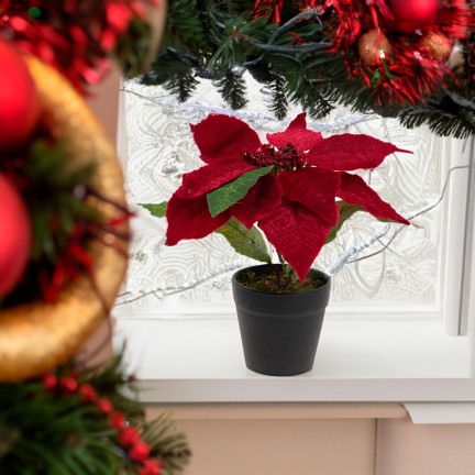 CV28962 GWIAZDA BETLEJEMSKA SZTUCZNA WELUROWA W DONICZCE POINSECJA REALISTYCZNA