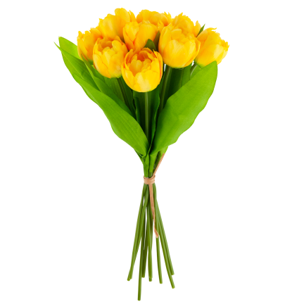 CV31227-3 TULIPAN BUKIET X7