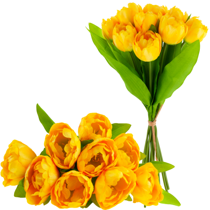 CV31227-3 TULIPAN BUKIET X7