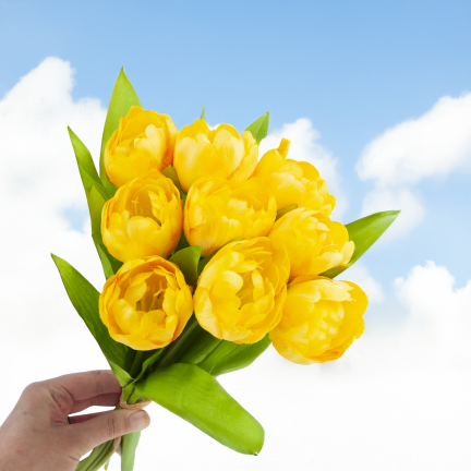 CV31227-3 TULIPAN BUKIET X7