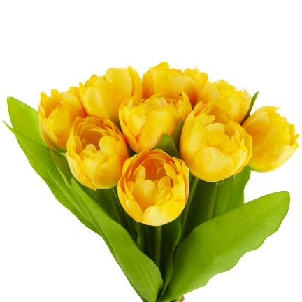 CV31227-3 TULIPAN BUKIET X7