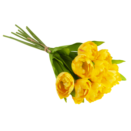 CV31227-3 TULIPAN BUKIET X7