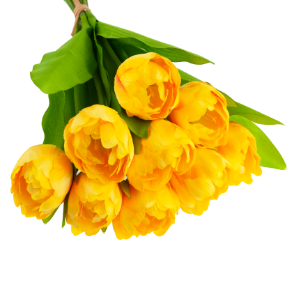 CV31227-3 TULIPAN BUKIET X7