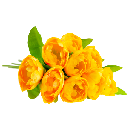 CV31227-3 TULIPAN BUKIET X7