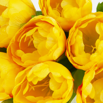 CV31227-3 TULIPAN BUKIET X7