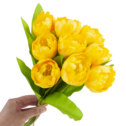 CV31227-3 TULIPAN BUKIET X7