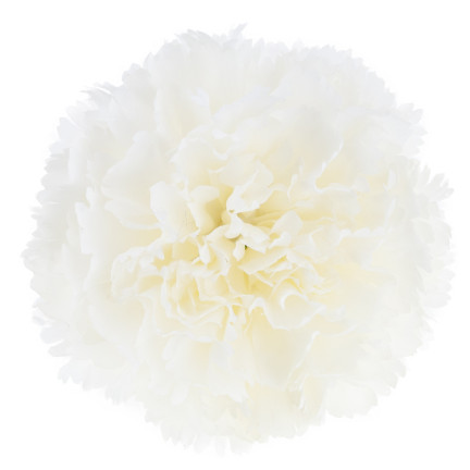 Goździk wyrobowy, główka kwiatowa, sztuczny, biały, do stroików, 10cm