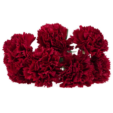 CV33067-4 GOŹDZIKI BUKIET GOŹDZIKÓW GĘSTE GAŁĄZKI LIŚCIE ŁODYGI KWIATY JAK ŻYWE