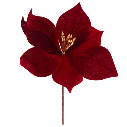 CV34101-6 GWIAZDA BETLEJEMSKA NA PIKU WELURA POINSECJA ŚWIĘTA CHOINKA