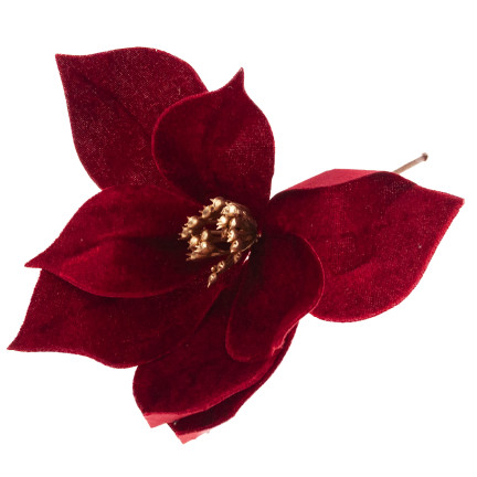 CV34101-6 GWIAZDA BETLEJEMSKA NA PIKU WELURA POINSECJA ŚWIĘTA CHOINKA