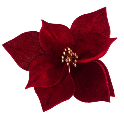 CV34101-6 GWIAZDA BETLEJEMSKA NA PIKU WELURA POINSECJA ŚWIĘTA CHOINKA