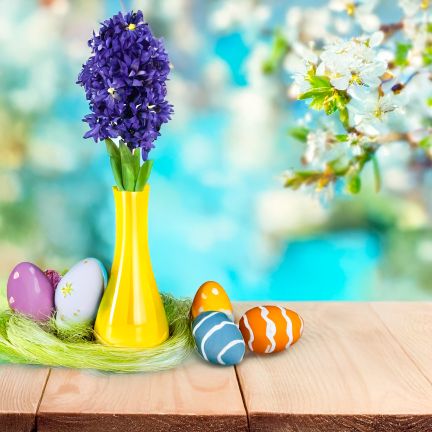 CV34985-3 HIACYNT POJEDYŃCZY