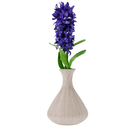 CV34985-3 HIACYNT POJEDYŃCZY