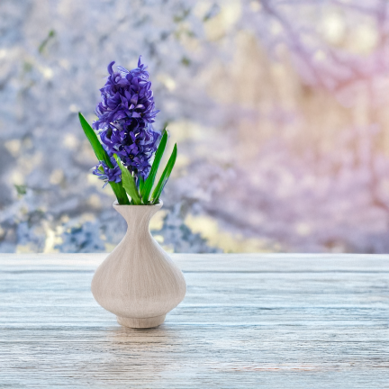 CV34985-3 HIACYNT POJEDYŃCZY