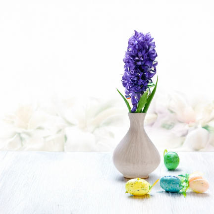 CV34985-3 HIACYNT POJEDYŃCZY