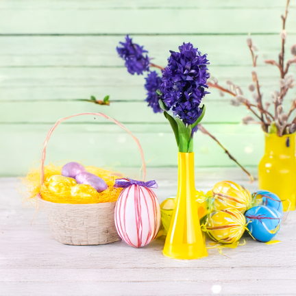 CV34985-3 HIACYNT POJEDYŃCZY