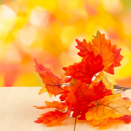 CV36041 SZTUCZNE JESIENNE LIŚCIE DO KOMPOZYCJI BUKIET LIŚCI STROIK JESIENNY GAŁĄZKA