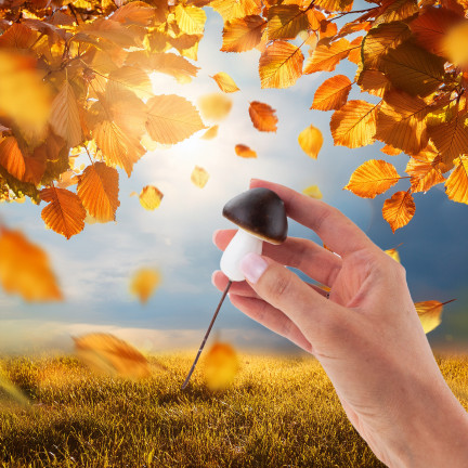 Grzybki dekoracyjne na piku, piankowe, brązowo-białe, z drucikiem, zestaw 6szt. 